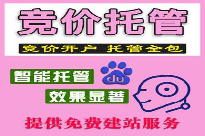 电商信息流推广策略：案例分析及优化